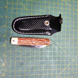 Ednei Silva review photo
