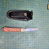 Ednei Silva review photo