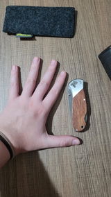 Gi review photo