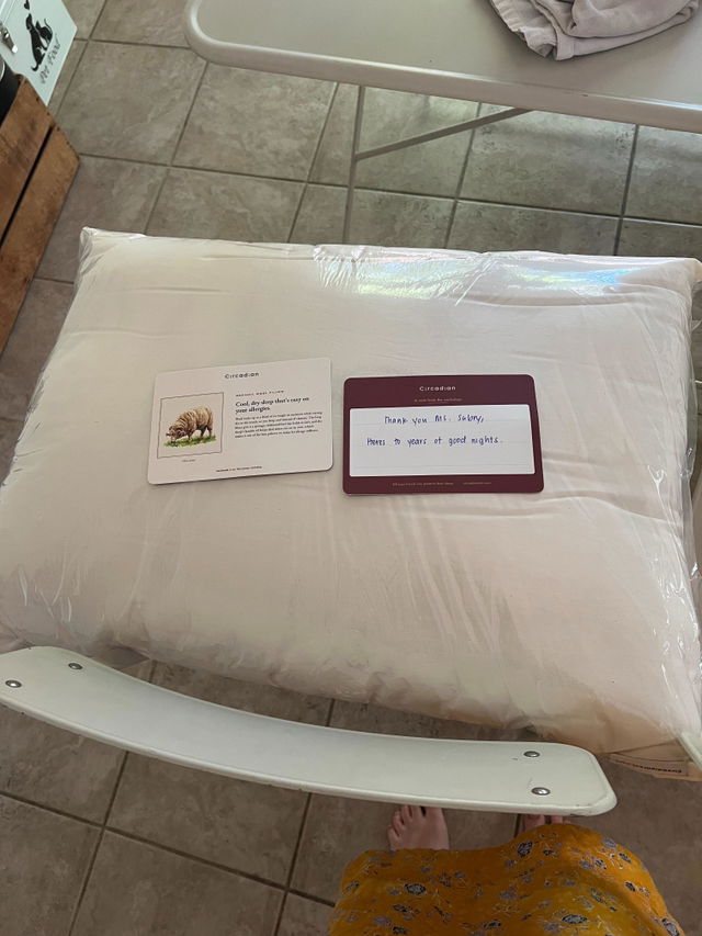 Shelby's Organic Wool Pillow as it arrived, still in its wrap, with the card from the box