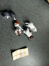 Fredrick C. review photo