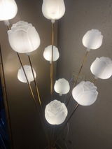 Mrs zubair review photo