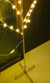 Zunaira review photo