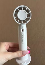 Anoosha review photo