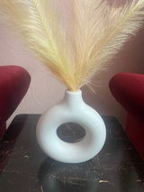 Masooma review photo