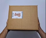 Stefano G. review photo