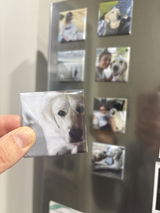 Custom Square Photo Magnets