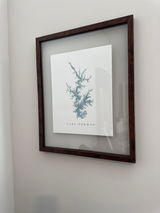 Anika review photo