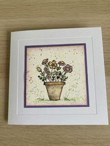 Beverley Saddington review photo