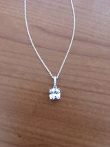 Shelly Semmens review photo