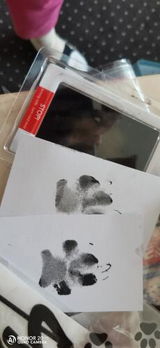 G. review photo