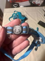 Tracy review photo