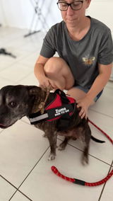 Chris Soul review photo