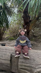 Oli review photo
