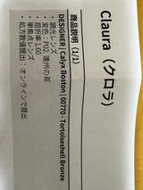 Choco C. review photo