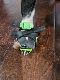 Review picture