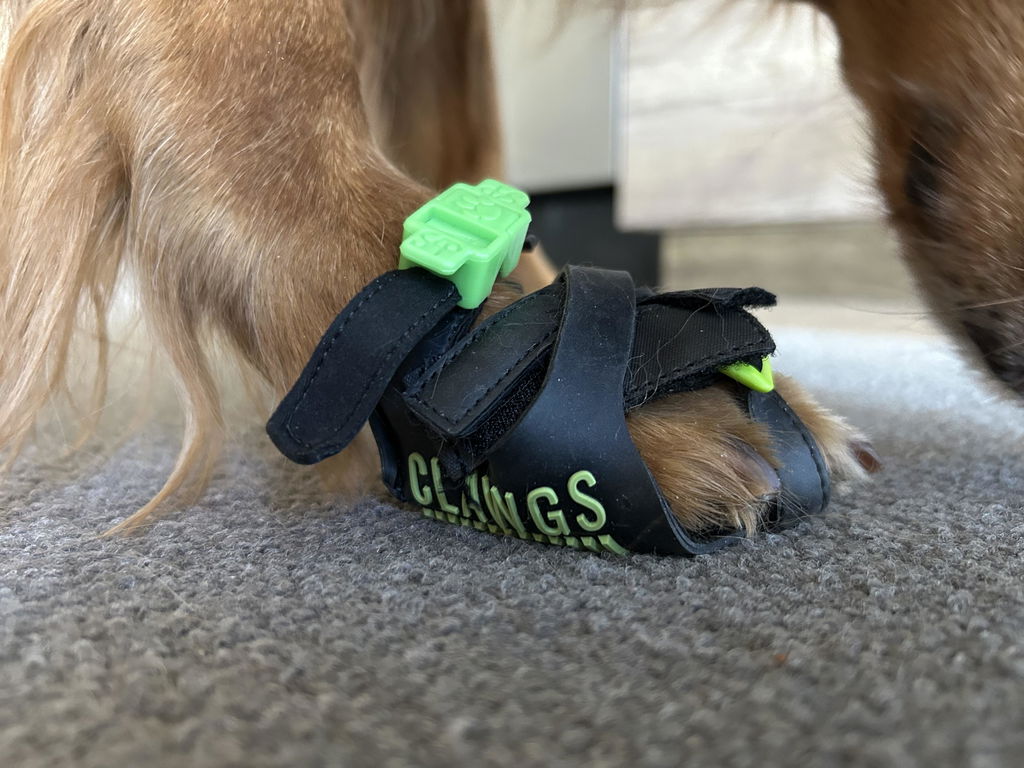 Aesthetically Challenged Clawgs V3