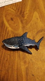 Paige H. review photo