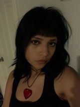 paula review photo