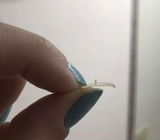 Siti S review photo