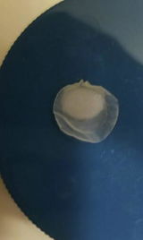 Angela S review photo