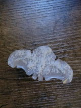 Alysha Azan review photo