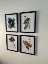 Meghan Nicholls review photo