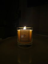 Idalia review photo