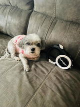 Amazon Customer review photo