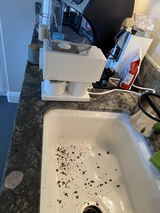 Customer photo from a 1 star review of Fellow Ode Brew Grinder Gen 2