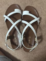 Shirley review photo