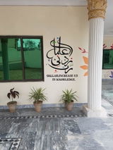 Ali Haider review photo