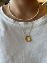 Evi review photo