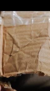 ProfessorSaddamAli review photo