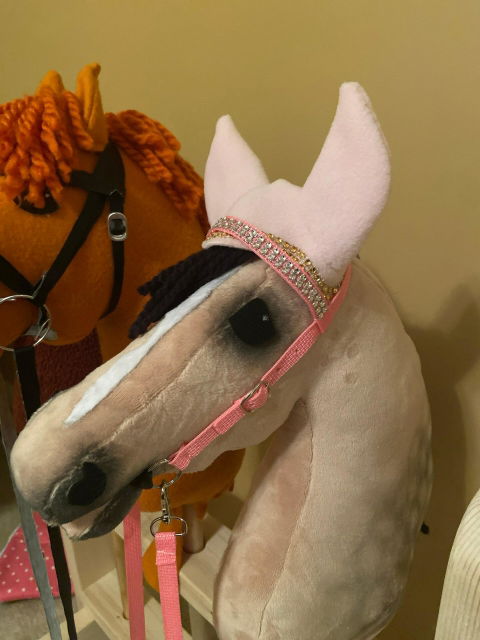Cloudberry Stables