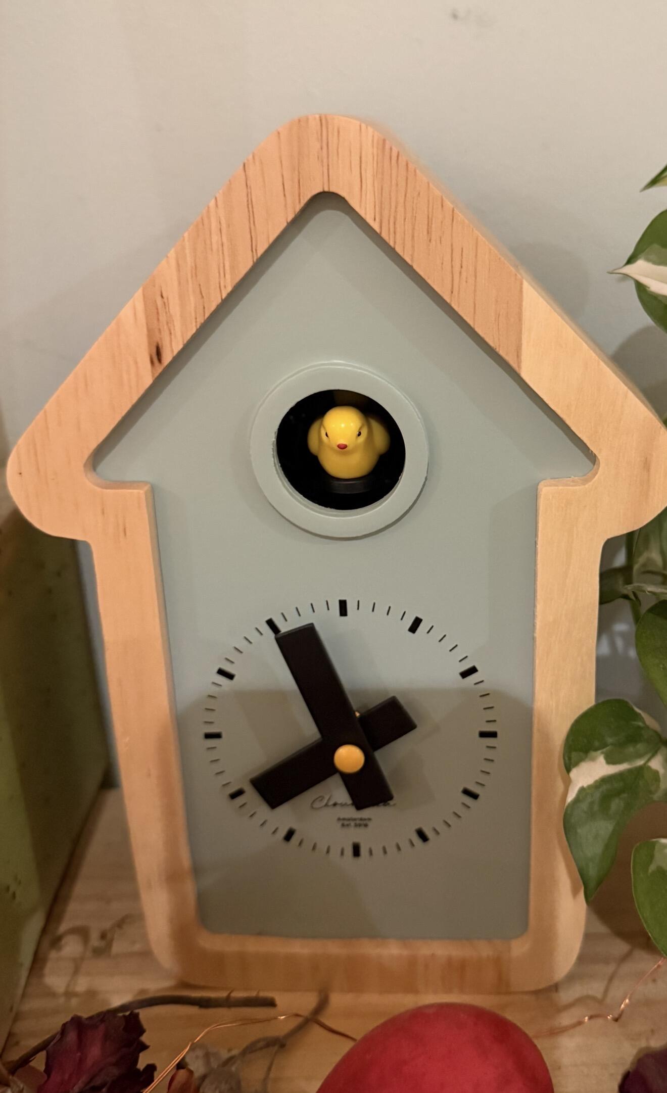 Cloudnola – Cuckoo Clocks, Flip Clocks, Reversible Vases & Bowls | Dut