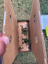 Anonymous review photo