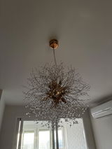 Mau Conill review photo