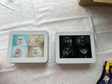 Ann Marie Wasilewski review photo