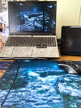 RenRenArt review photo