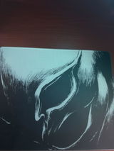 Connor review photo