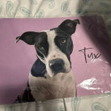 Custom Pet Portrait Mouse Pad - 3 Sizes