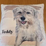 Custom Pet Portrait Pillow - 40 x 40 cm