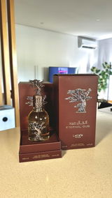 Diogo Abreu review photo