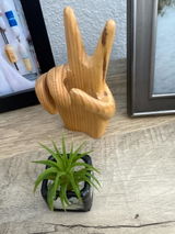 Etsy customer review photo