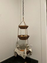 Zion review photo