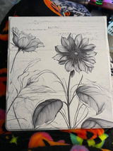 Kyrstin S. review photo