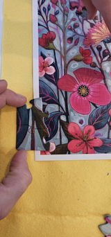 Grandma review photo
