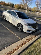 Terry B. review photo