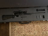 Scott D. review photo